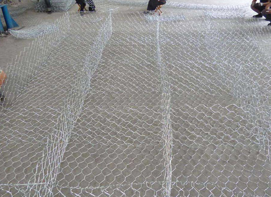 雷諾護墊